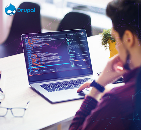 Drupal Development Services