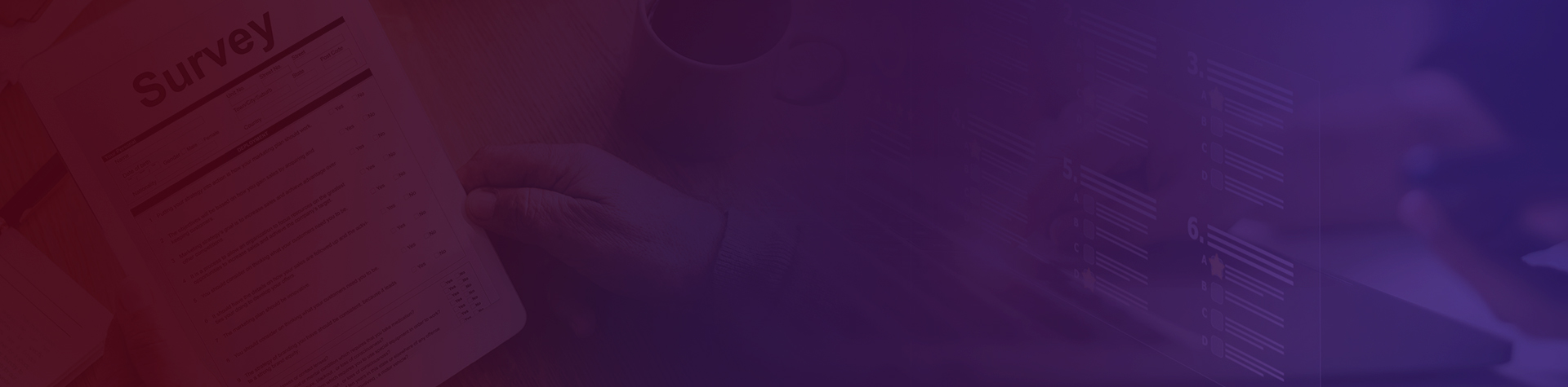 Survey Data Processing Services
