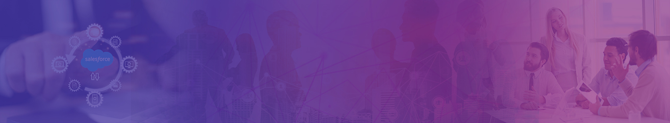 Salesforce Partners
