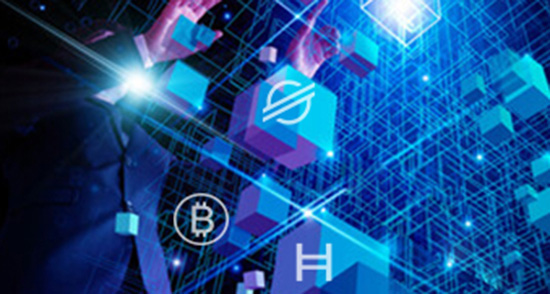 Expertise in Multiple Blockchain Platforms